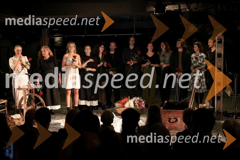  Nataša Keser, igralka;  Zvezdana  Mlakar, igralka;  Ivana Percan Kodarin, igralka;  Barbara  Žefran, igralka;  Maruša Mali, scenografinja;  Matej Kastelic, učitelj petja;  Gašper Lovrec, igralec;  Iva Štefanija Slosar, dramaturginja;  ... ;  Nik Žnidaršič, igralec;  ... ;  ... Žene v testu, premiera