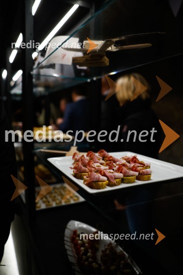 SOS Proteus - odprtje informacijskega centra za varstvo človeške ribice, Kranj