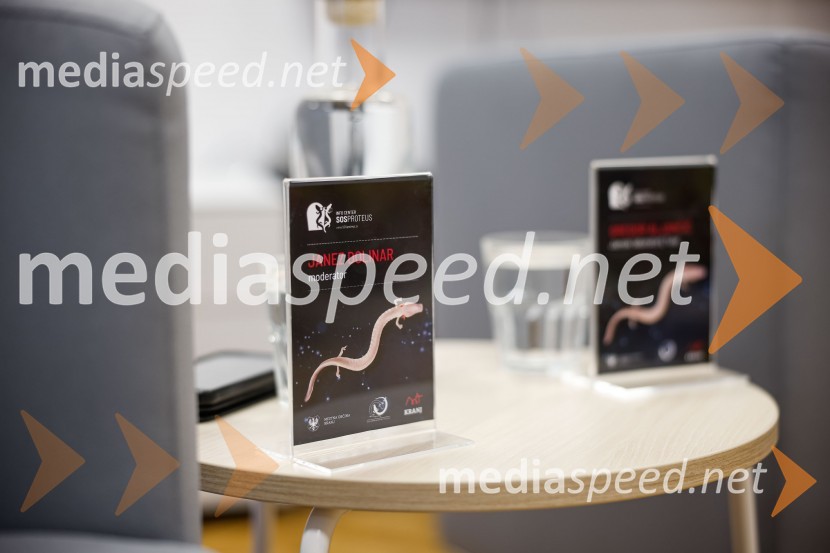 SOS Proteus - odprtje informacijskega centra za varstvo človeške ribice, Kranj