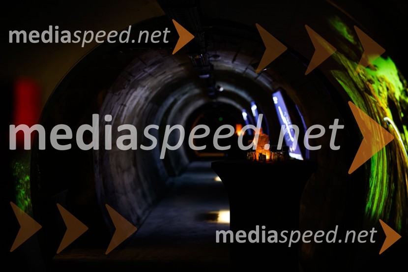 SOS Proteus - odprtje informacijskega centra za varstvo človeške ribice, Kranj