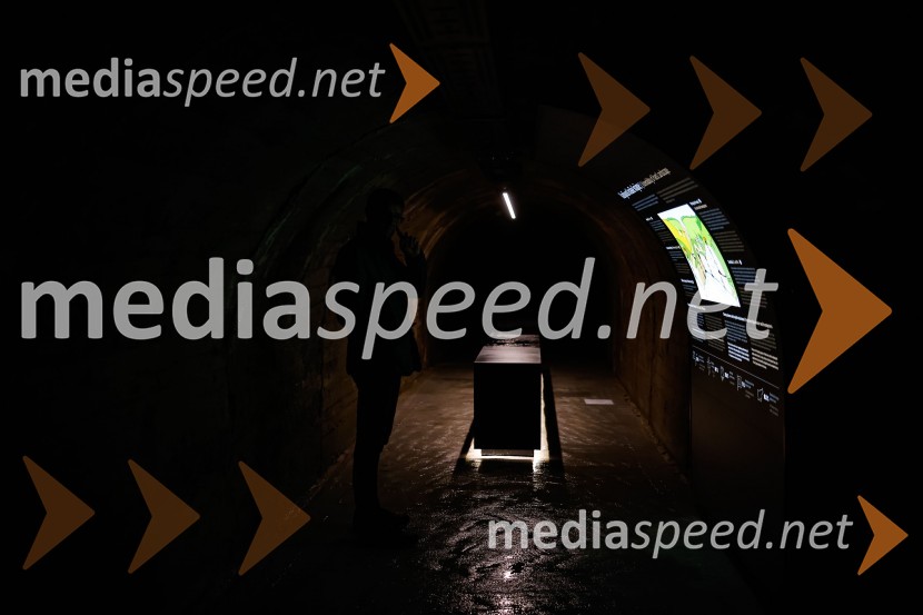 SOS Proteus - odprtje informacijskega centra za varstvo človeške ribice, Kranj