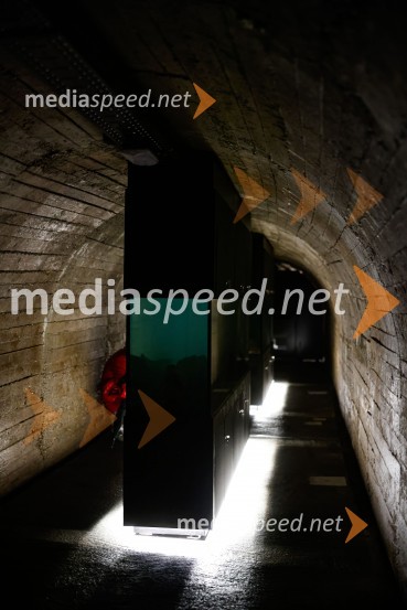 SOS Proteus - odprtje informacijskega centra za varstvo človeške ribice, Kranj