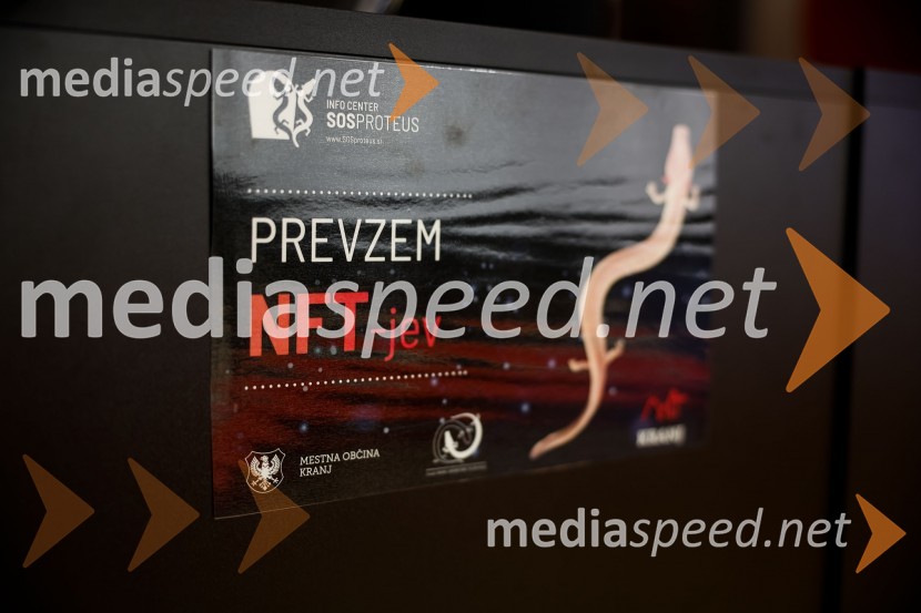 SOS Proteus - odprtje informacijskega centra za varstvo človeške ribice, Kranj