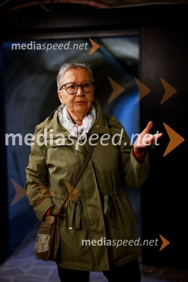 SOS Proteus - odprtje informacijskega centra za varstvo človeške ribice, Kranj