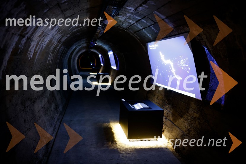 SOS Proteus - odprtje informacijskega centra za varstvo človeške ribice, Kranj