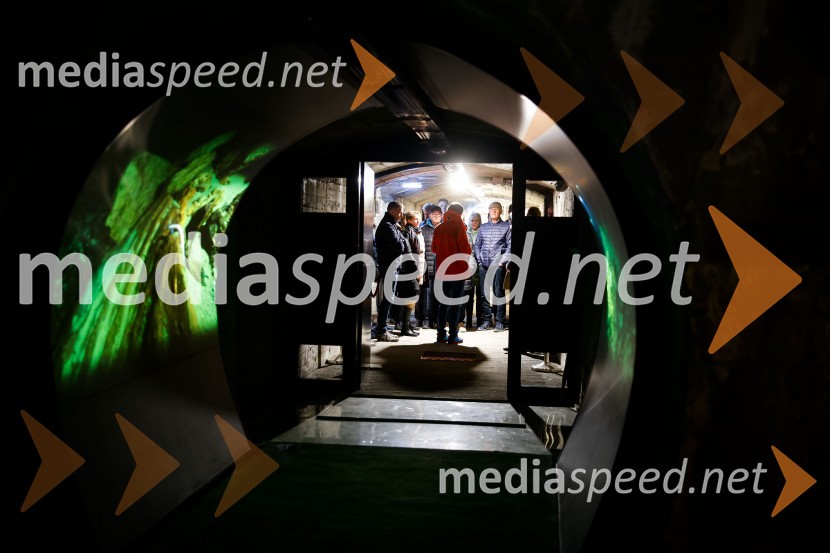 SOS Proteus - odprtje informacijskega centra za varstvo človeške ribice, Kranj