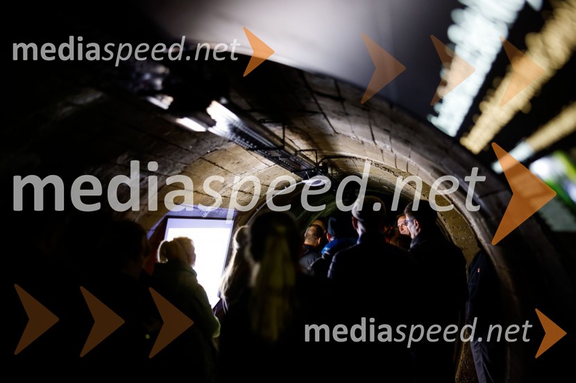 SOS Proteus - odprtje informacijskega centra za varstvo človeške ribice, Kranj