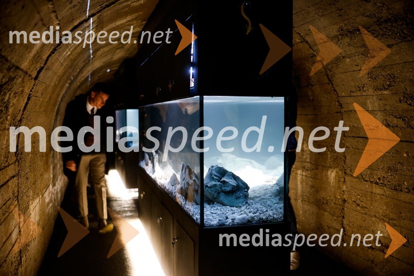  Janez Černe, podžupan Mestne občine KranjSOS Proteus - odprtje informacijskega centra za varstvo človeške ribice, Kranj