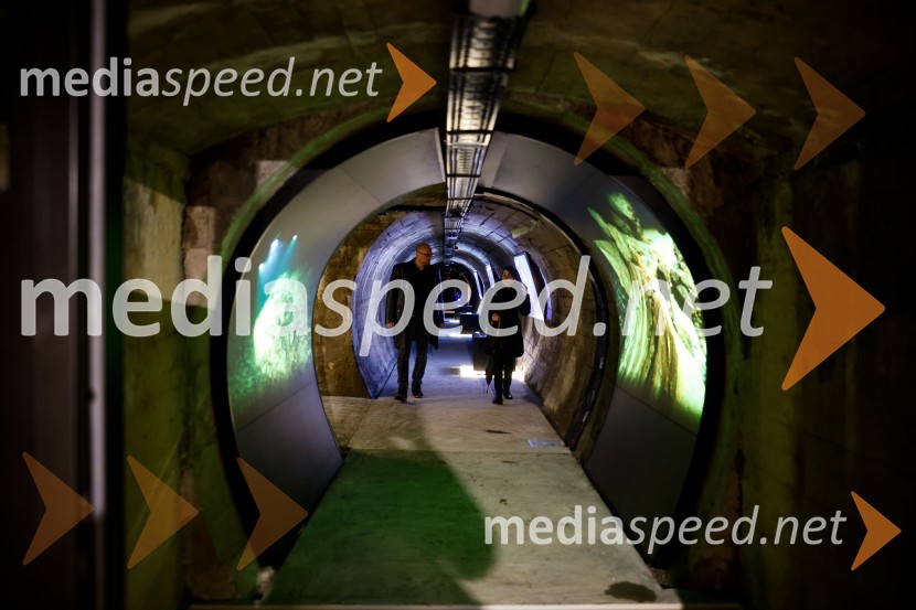 SOS Proteus - odprtje informacijskega centra za varstvo človeške ribice, Kranj