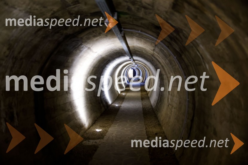 SOS Proteus - odprtje informacijskega centra za varstvo človeške ribice, Kranj