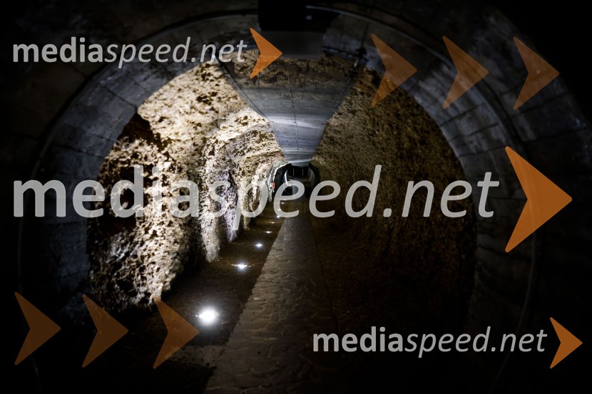 SOS Proteus - odprtje informacijskega centra za varstvo človeške ribice, Kranj