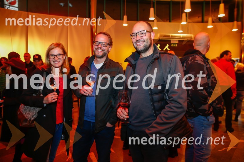 Avtomobili, koncert ob 40-letnici