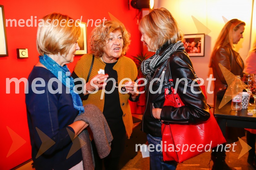 Avtomobili, koncert ob 40-letnici