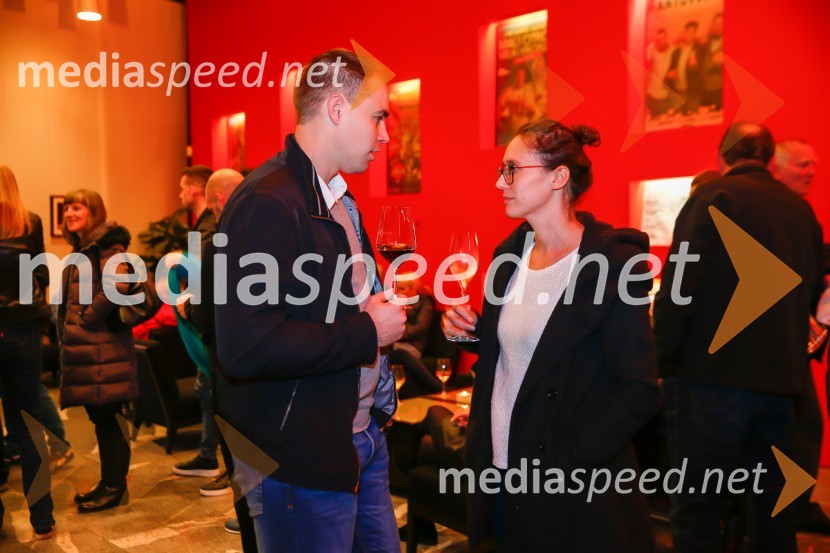 Avtomobili, koncert ob 40-letnici