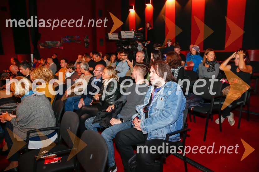 Avtomobili, koncert ob 40-letnici