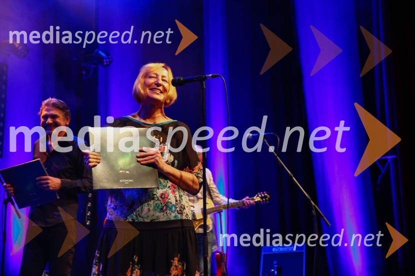 Avtomobili, koncert ob 40-letnici