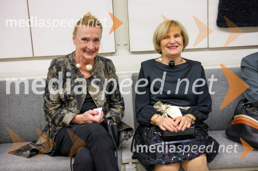 Orkester Romanske Švice na odru Cankarjevega doma