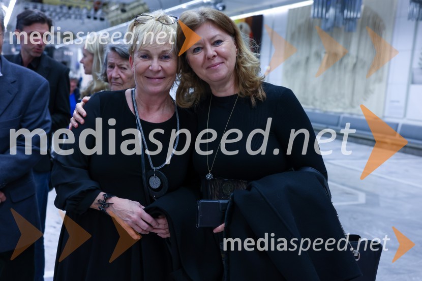 Orkester Romanske Švice na odru Cankarjevega doma