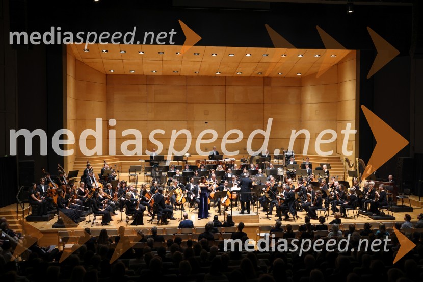 Orkester Romanske Švice na odru Cankarjevega doma