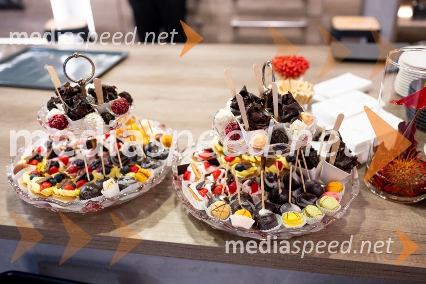 Srečanje državnega sekretarja Štucina s člani Slovenskega konzularnega zbora