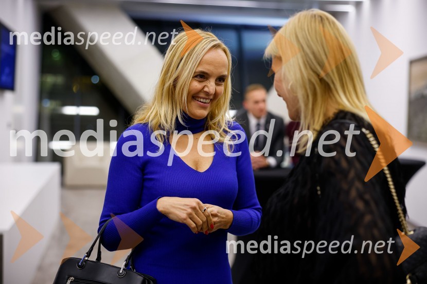  Ajša Vodnik, izvršna direktorica AmCham (Ameriška gospodarska zbornica);  ... Poslovna liderka in poslovni lider 2023