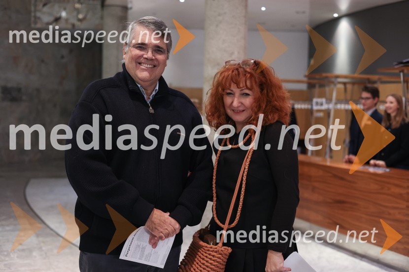 Perpetuum mobile, plesna predstava v SNG Nova Gorica