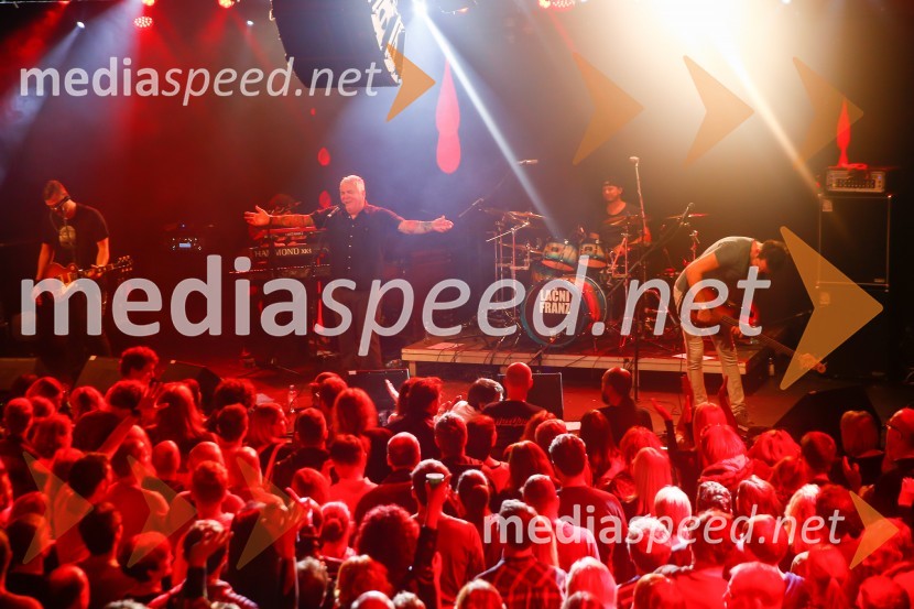  Zoran Predin, glasbenikLAČNI FRANZ, Veliki finale z gosti, koncert