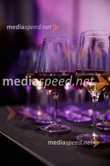 Pogovori, ki so mi spremenili življenje, izid knjige Zvezdane Mlakar in Roka Smoleja