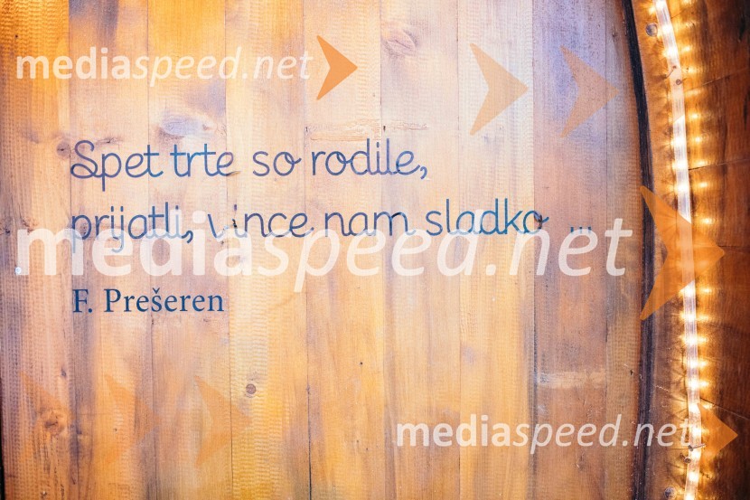 Vinska pot v rovih pod starim Kranjem 2022, petek