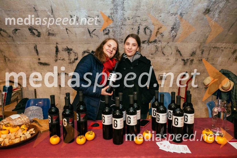 Vinska pot v rovih pod starim Kranjem 2022, petek