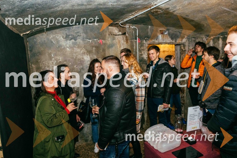 Vinska pot v rovih pod starim Kranjem 2022, petek