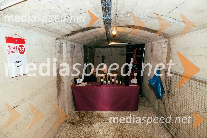 Vinska pot v rovih pod starim Kranjem 2022, petek