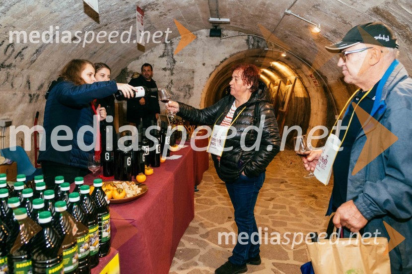 Vinska pot v rovih pod starim Kranjem 2022, petek