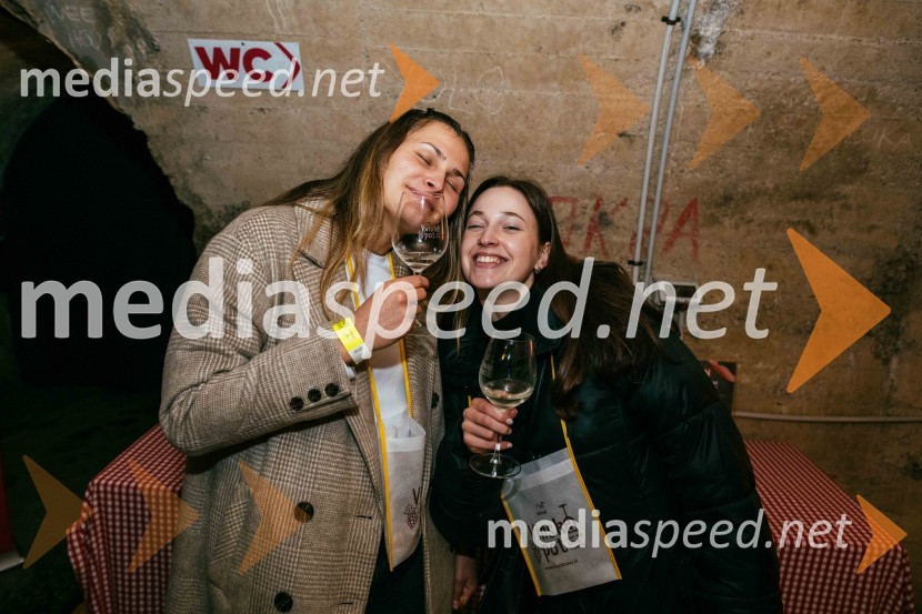 Vinska pot v rovih pod starim Kranjem 2022, petek