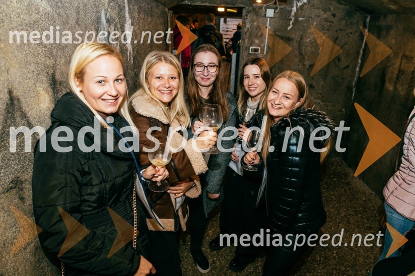 Vinska pot v rovih pod starim Kranjem 2022, petek