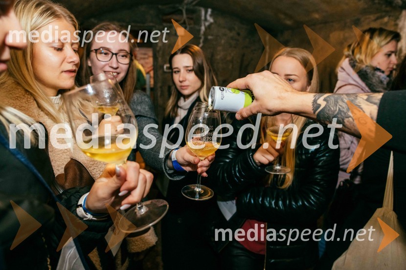 Vinska pot v rovih pod starim Kranjem 2022, petek