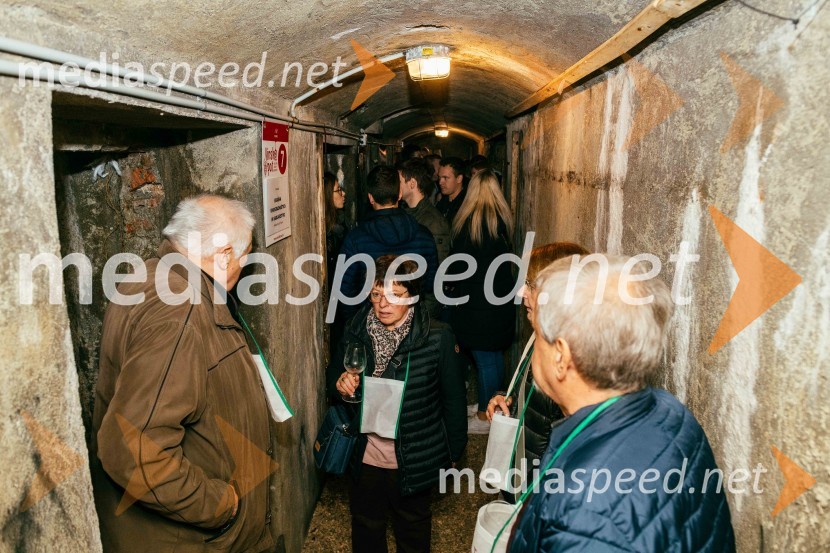 Vinska pot v rovih pod starim Kranjem 2022, petek