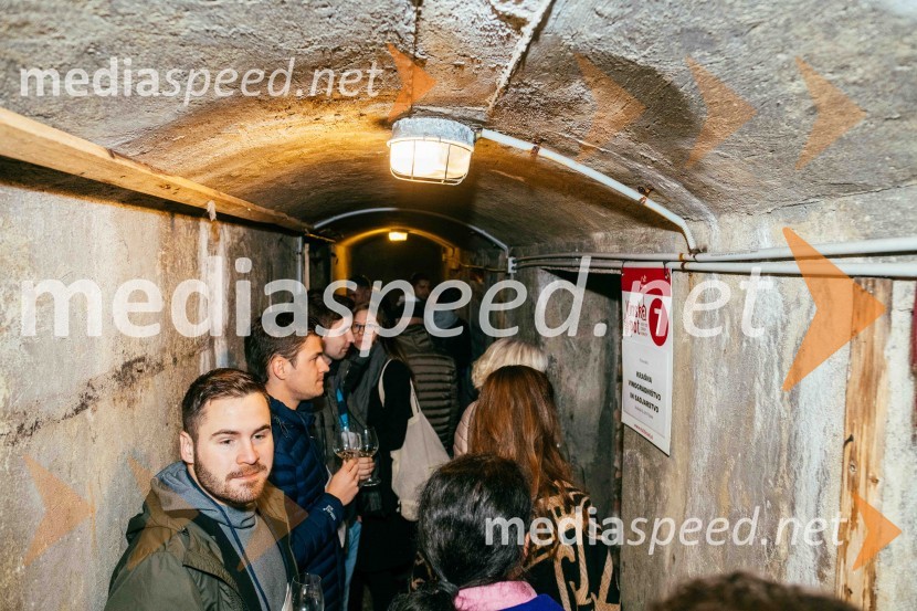 Vinska pot v rovih pod starim Kranjem 2022, petek