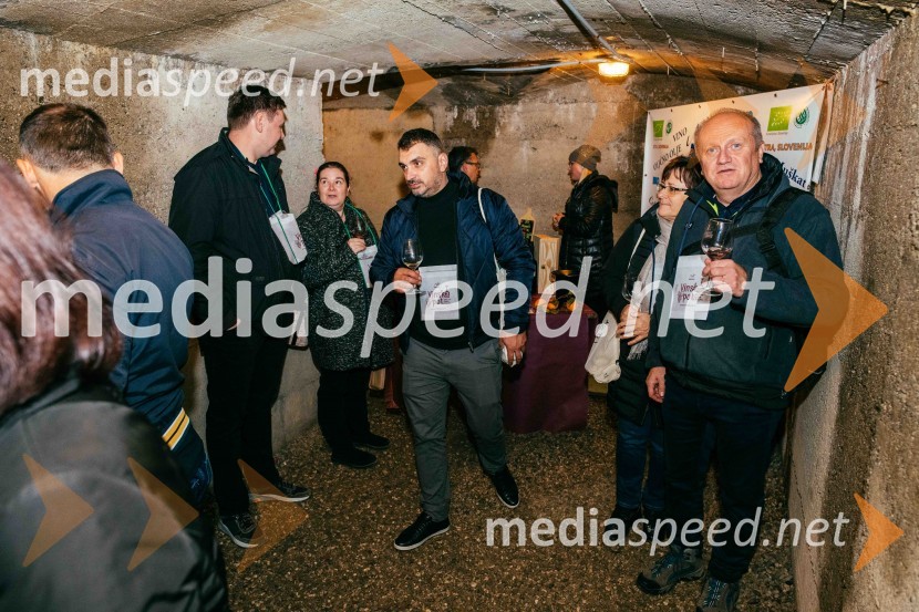 Vinska pot v rovih pod starim Kranjem 2022, petek
