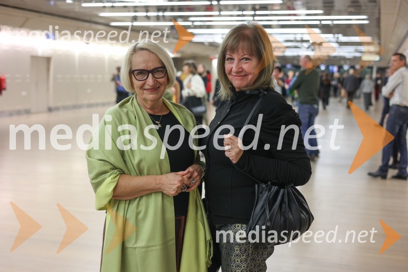 DANCE ME, premiera plesne predstave v Cankarjevem domu