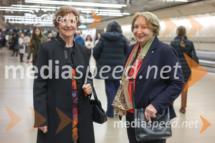 DANCE ME, premiera plesne predstave v Cankarjevem domu