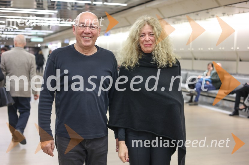 DANCE ME, premiera plesne predstave v Cankarjevem domu