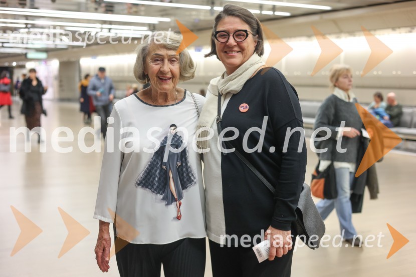 DANCE ME, premiera plesne predstave v Cankarjevem domu