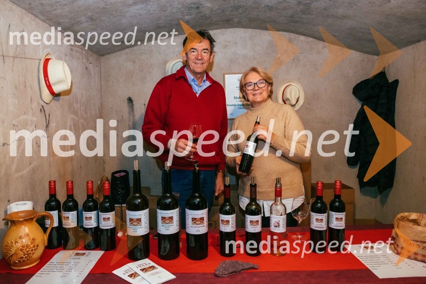 Vinska pot v rovih pod starim Kranjem 2022, sobota