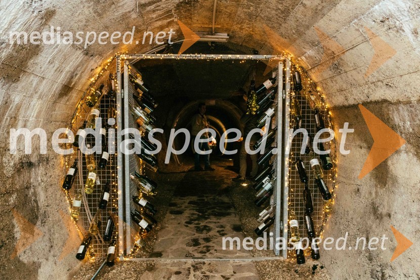 Vinska pot v rovih pod starim Kranjem 2022, sobota