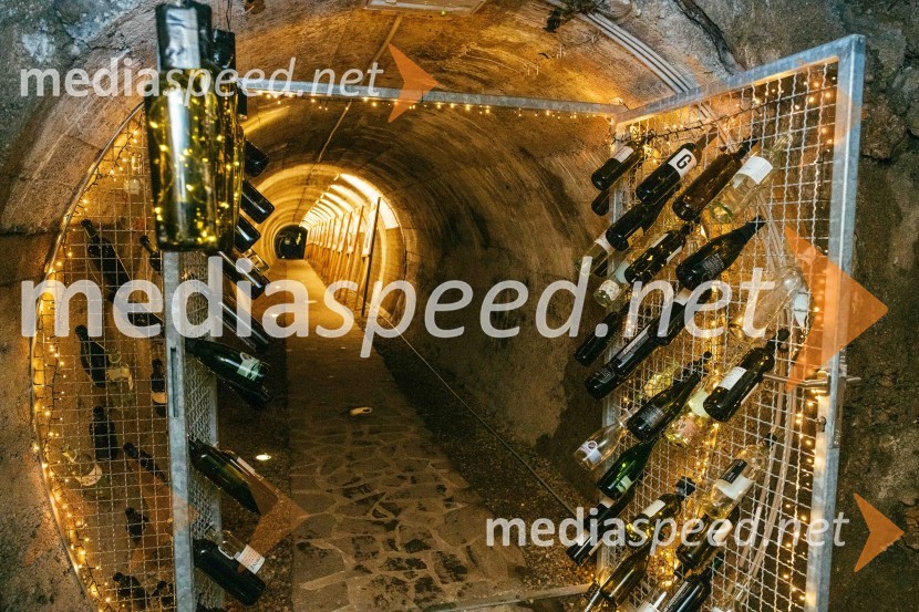 Vinska pot v rovih pod starim Kranjem 2022, sobota