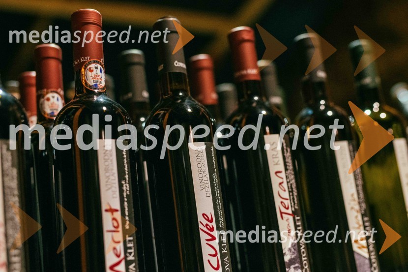 Vinska pot v rovih pod starim Kranjem 2022, sobota