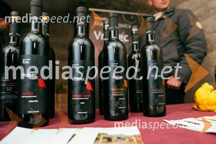 Vinska pot v rovih pod starim Kranjem 2022, sobota