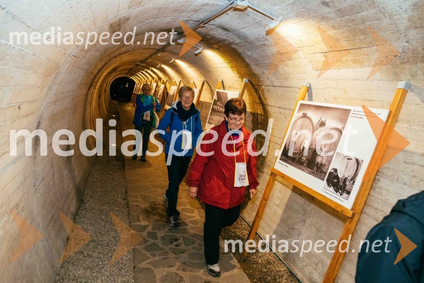 Vinska pot v rovih pod starim Kranjem 2022, sobota