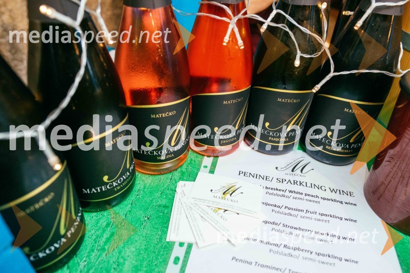 Vinska pot v rovih pod starim Kranjem 2022, sobota